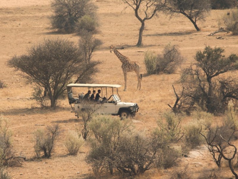 safari Esprit nomade
